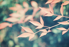 法國(guó)法令2019-1007協(xié)調(diào)與某些非食品產(chǎn)品安全有關(guān)的監(jiān)管規(guī)定