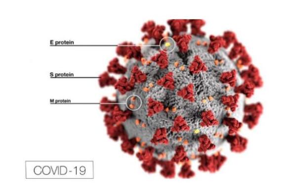 COVID-19對(duì)歐盟MDR，SCIP廢物框架指令的影響